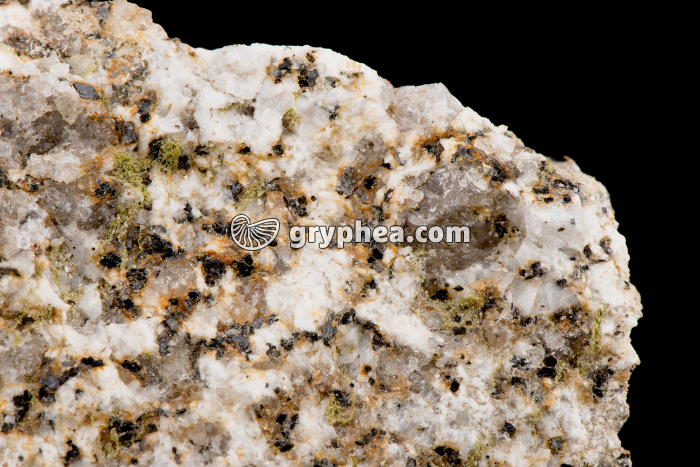 Granite altéré - gryphea.com